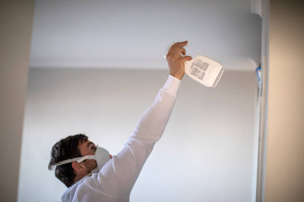Best Mold Cleaning Services  in Village Green, NY