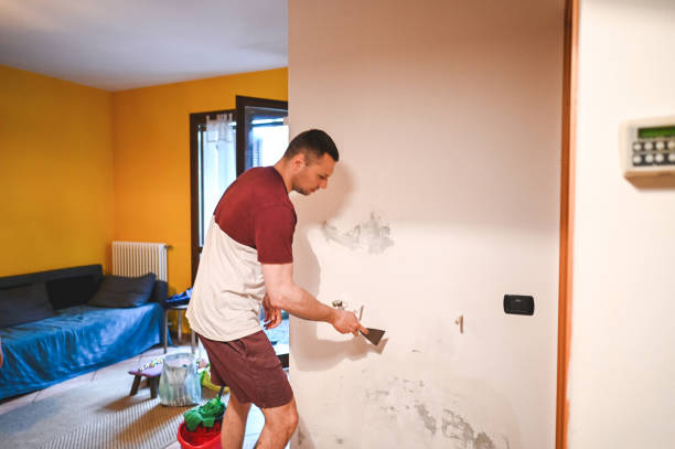 Best Attic Mold Removal  in Village Green, NY